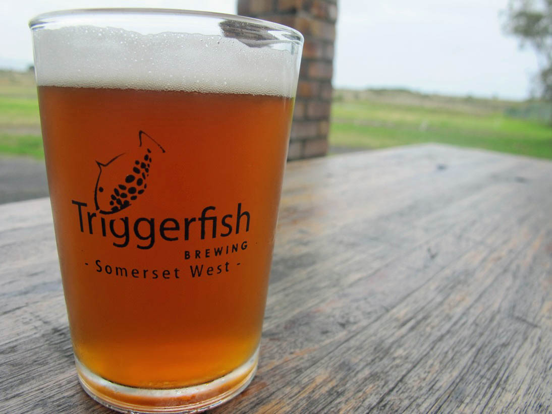 Beer review: Triggerfish Southern Right