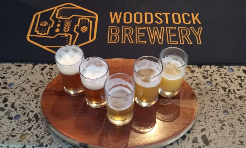 a taster tray of craft beers at a brewery in cape town